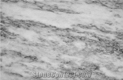 African Silver Marble Slabs & Tiles