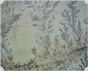 Fossil Sandstone Slabs & Tiles, India Beige Sandstone