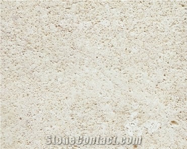 Arenisca Fossil Pearl Sandstone Slabs & Tiles