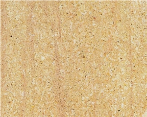 Arenisca Fossil Sandstone Slabs & Tiles