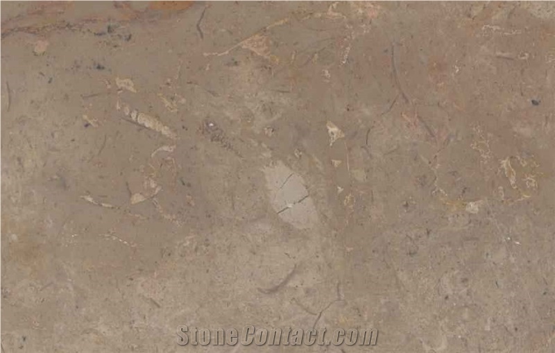 Golden Africa Marble Slabs & Tiles, Egypt Beige Marble