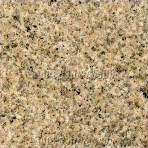 G682 Golden Desert Granite from China - StoneContact.com