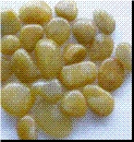 Amber Yellow Polished Pebble Stone