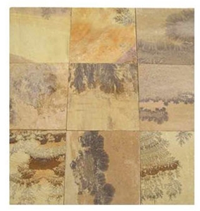 Fossil Sandstone Slabs & Tiles, India Beige Sandstone