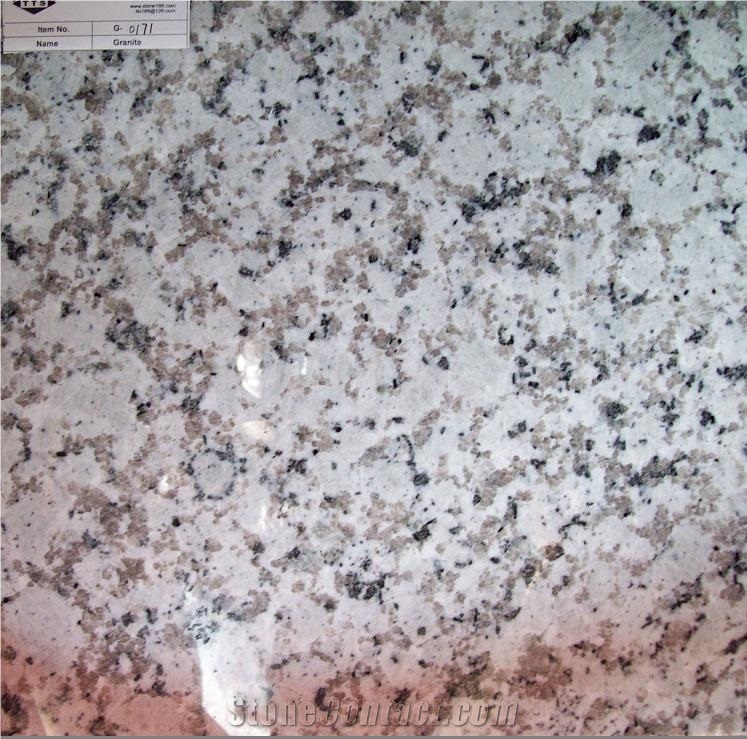 Big Flower Granite Slabs & Tiles, China White Granite