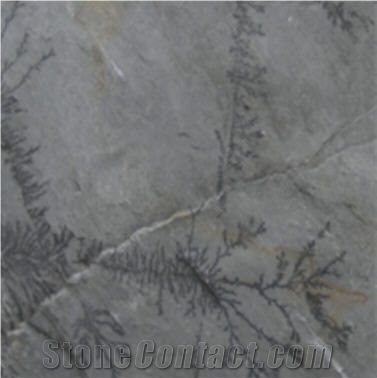 Grey Fossil Limestone Slabs & Tiles