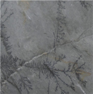 Grey Fossil Limestone Slabs & Tiles