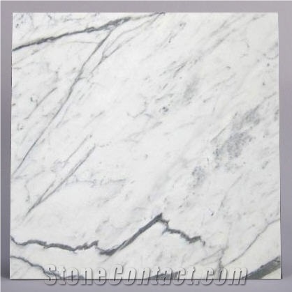 Bianco Statuario Slabs & Tiles, Statuary Marble Slabs & Tiles