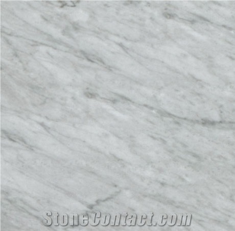 Bardiglietto Marble Slabs & Tiles, Italy Grey Marble