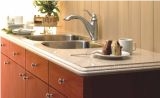 Quartzite Countertop / Kitchen Top