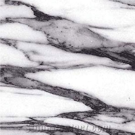 Arabescato Corchia Marble Slabs & Tiles, Italy White Marble