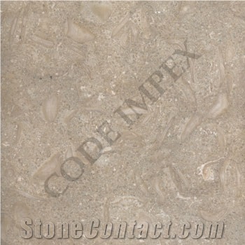 Sea Grass Limestone Tiles & Slabs, Seagrass Limestone
