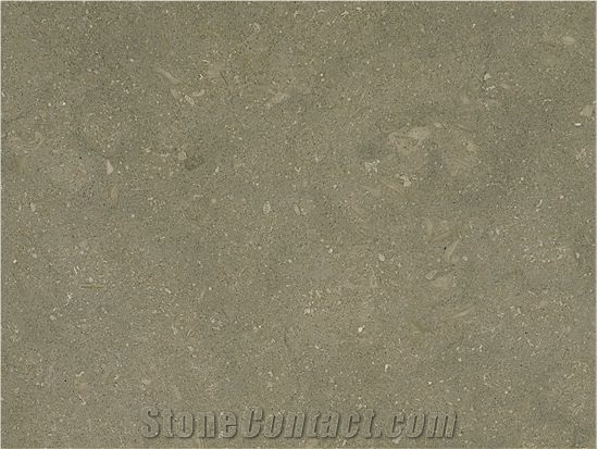 Fossil Green Limestone Slabs & Tiles