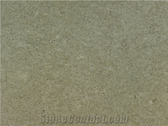 Ruoms Limestone Slabs & Tiles, France Grey Limestone