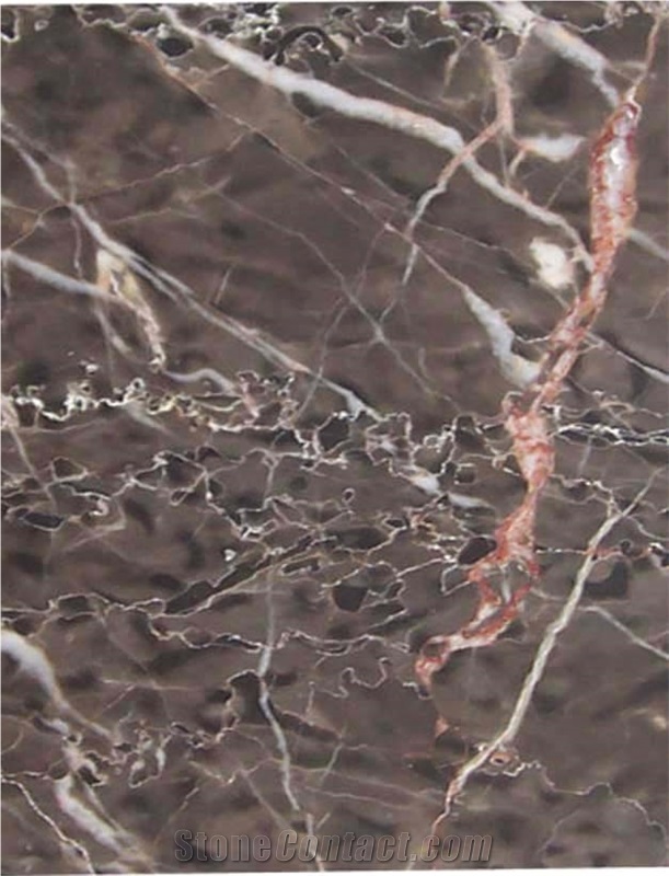 China Brown Marble from China