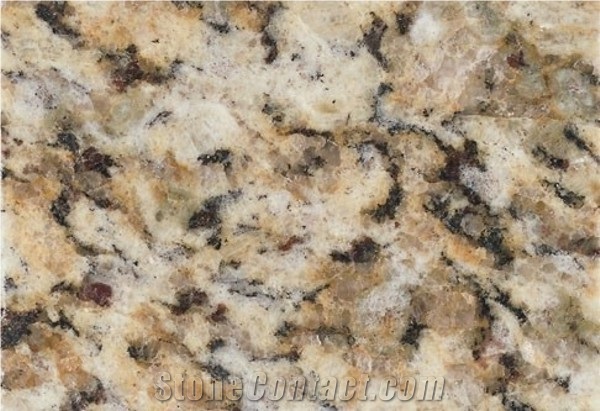 Giallo Napoleon Granite Slabs Tiles Brazil Yellow Granite 52945