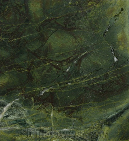 Vitoria Regia Quartzite Slabs & Tiles, Brazil Green Quartzite