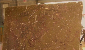 Fossil Brown Limestone Slabs