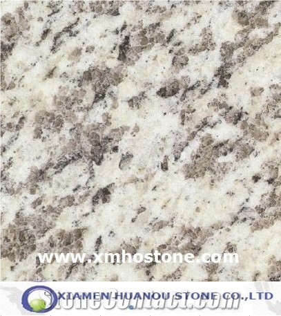 G503 Granite --Tiger Skin White