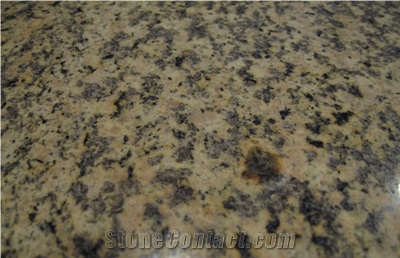 Tiger Skin Yellow Granite Slabs & Tiles
