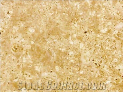 Niwala Gold, Niwala Amarillo Sandstone Slabs