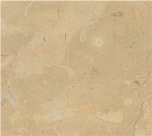 Birzeit Gold Limestone Slabs & Tiles, Israel Yellow Limestone