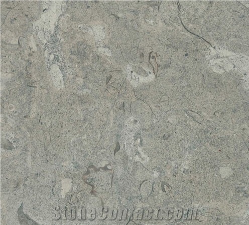 Birzeit Grey Limestone Slabs & Tiles, Israel Grey Limestone