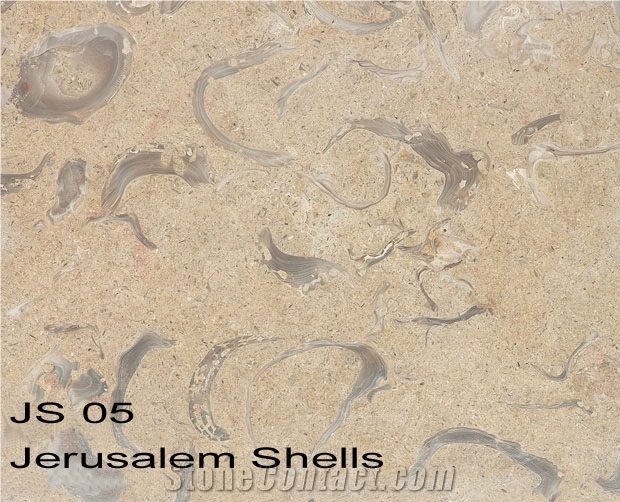 Jerusalem Shells Limestone Slabs & Tiles, Israel Beige Limestone