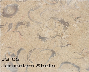 Jerusalem Shells Limestone Slabs & Tiles, Israel Beige Limestone