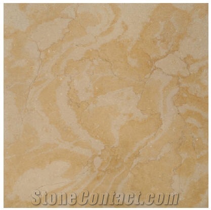 Antique Fossile Marble Slabs & Tiles