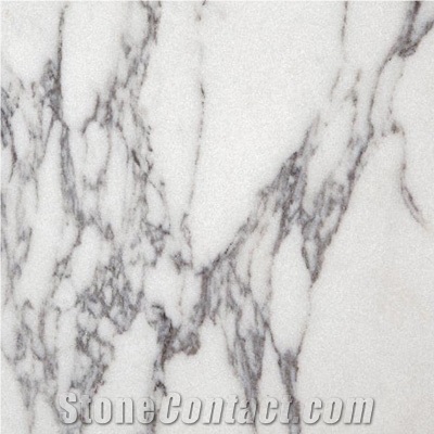 Arabescato Corchia Marble Slabs, Italy White Marble
