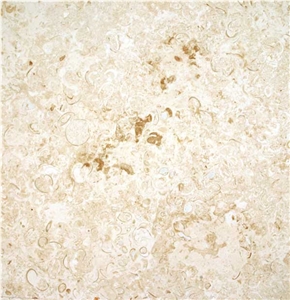Mexican Shell Stone Limestone Slabs & Tiles
