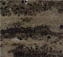 Caesar Brown Marble