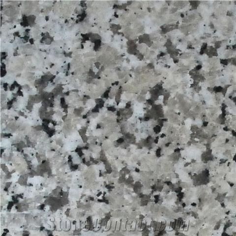 White Jinshan Granite