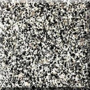 Grey Ukraine Granite Slabs & Tiles