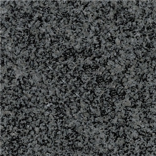 African Black Granite Slabs & Tiles, Angola Black Granite
