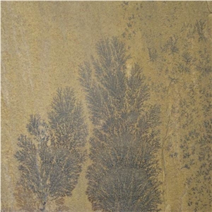 Fossil Sandstone Slabs & Tiles, India Beige Sandstone