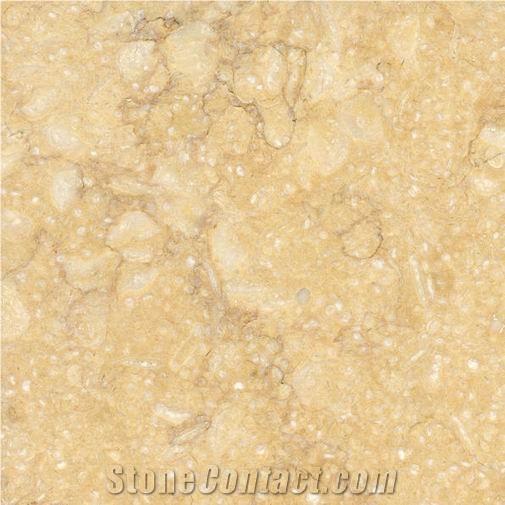 Golden Sun Medium Limestone Slabs & Tiles, Egypt Yellow Limestone