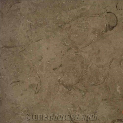 Nile Grey Limestone Slabs & Tiles, Egypt Grey Limestone