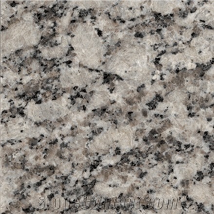 Gris Perla, Argentina Grey Granite Slabs & Tiles