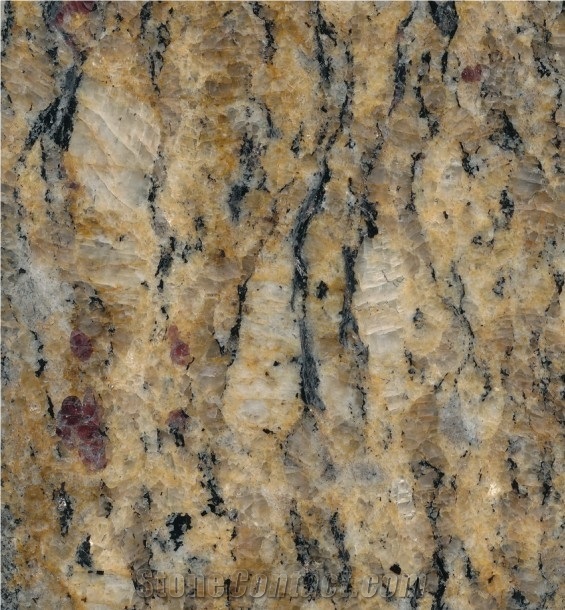 Giallo Cecilia Dark Granite Tile, Brazil Yellow Granite