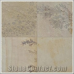 Fossil Mint Sandstone Slabs & Tiles, India Beige Sandstone