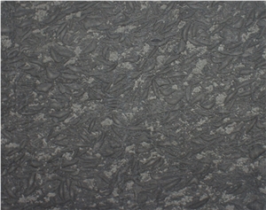 Gregio Fossil Marble Slabs & Tiles, Indonesia Grey Marble
