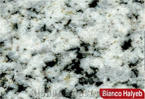 Bianco Halayeb Granite Slabs & Tiles, Egypt White Granite