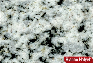 Bianco Halayeb Granite Slabs & Tiles, Egypt White Granite