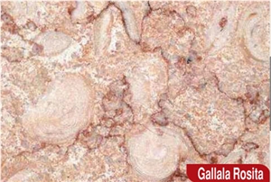 Galala Rose, Galala Rosita