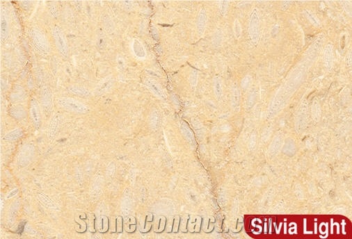Silvia Light Marble Slabs & Tiles, Egypt Yellow Marble