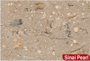 Sinai Pearl Dark, Triesta Marble
