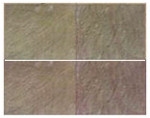 Stone Slate / Stone Tiles / Stone Slab