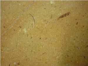 Sinai Limestone